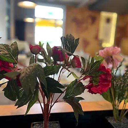 酒店 Frederikspark, 24h Check-in, Free Parking And Wifi 诺德施泰特
